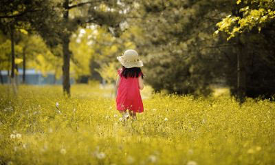 起羊年蓝氏男宝宝起名取名