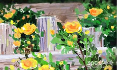 生肖牛的人性格特点，你了解吗？