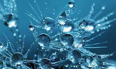 五行喜木缺水的起名怎么取？喜木宝宝的命好不好？