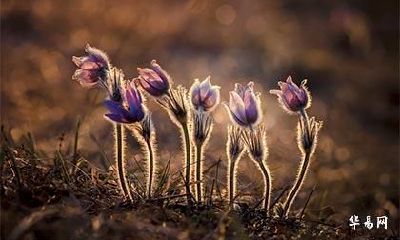 喜用神为金土取名 男孩女孩金土好名字推荐