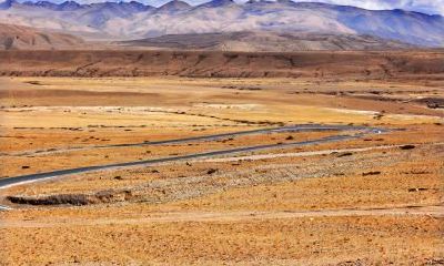 农历二月出生五行缺什么,取名推荐那些？