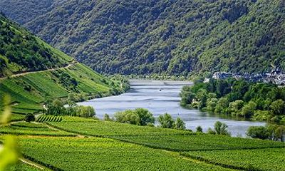 宝宝缺金喜土如何取名？何为五行八字？