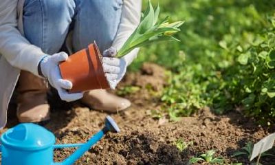 宝宝二月出生五行起名，农历二月五行分析