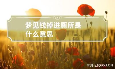 梦见钱掉进厕所是什么意思