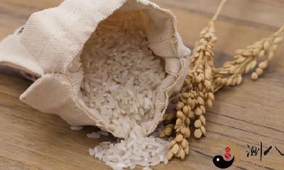 梦到大米生虫子