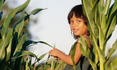 2016年二月孙姓宝宝起名取名