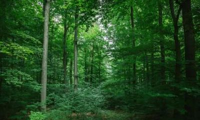 农历八月十五中秋节出生的男孩五行缺土取名推荐