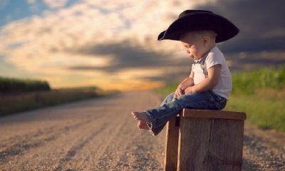 羊年焦姓宝宝起名取名