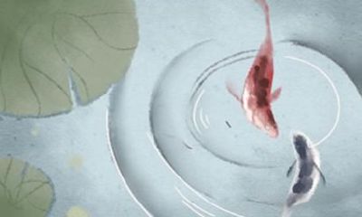 1997属牛人2021年本命年如何 有什么影响