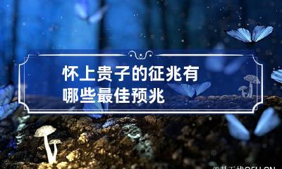 怀上贵子的征兆有哪些 最佳预兆