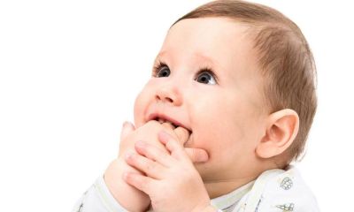 起名取名专家为姓洪猴宝宝起名取名