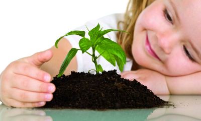 李姓宝宝起名取名