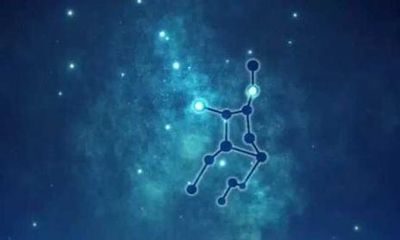 处女和摩羯配对指数：100