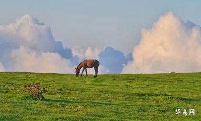 2023年适不适合属马女结婚？属马女跟什么生肖男最配？