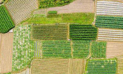 四月出生宝宝五行属什么？如何取名？