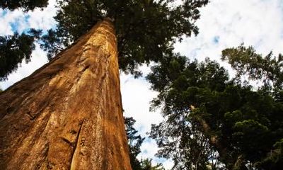 2018年中秋出生的男宝宝五行起名字怎么起呢？
