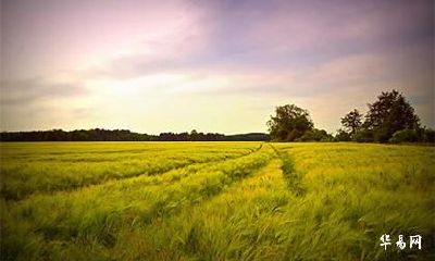 广西三月三2023年在什么时候 海南有三月三习俗吗