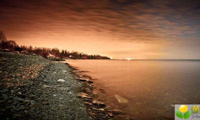 2019年3月20号凌晨出生的女宝宝怎样取一个有寓意的好名字