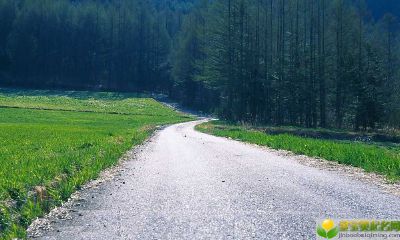 2019年4月5号傍晚出生的男宝宝怎么样起名字，起什么名字好听