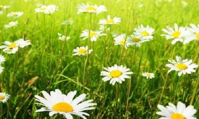 天秤座本周运势（每周更新）