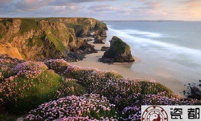 属牛在五行是属金还是属土