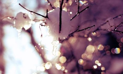 五行属土简单好听的男孩名字