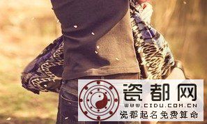 属牛的人2013年婚姻