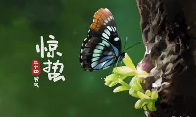 惊蛰是开春吗？惊蛰节气一般什么花开