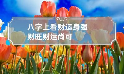 八字上看财运 身强财旺财运尚可