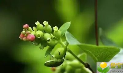 2019年4月4号中午出生的女宝宝怎样取一个适合的名字