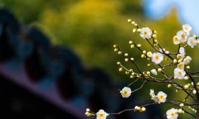 2021年立春（2月3日）喜神方位查询表！