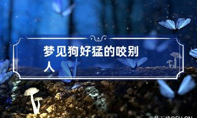 梦见狗好猛的咬别人