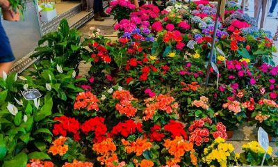 2019年农历二月初七出生的男孩五行缺水如何起名字，该用什么字