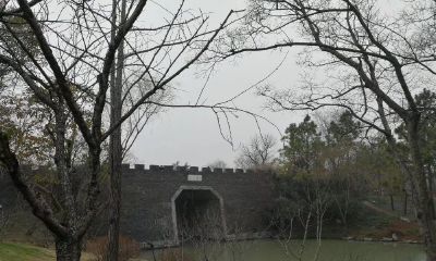 2019年4月8号早上出生的女宝宝怎样取名才好听