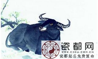 1961年属牛的人2013年运程