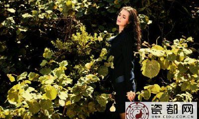 生肖牛与其他十二生肖的关系