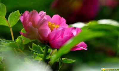 2019年8月30号出生的女宝宝五行缺土名字推荐