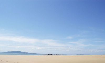 公历2019年3月29号丑时出生的女宝宝名字该怎么起，又有什么宜用