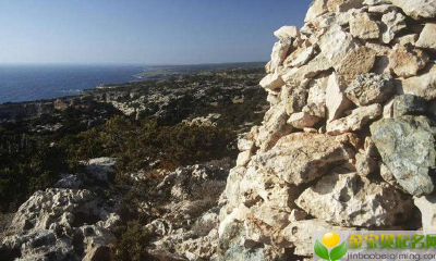 怎么用推算法来给2019年12月15出生男孩取名字呢