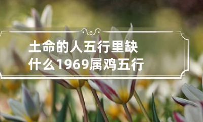 土命的人五行里缺什么1969 属鸡五行缺什么