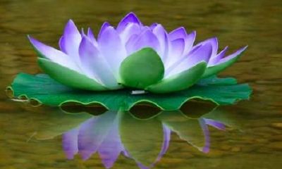 风水能改变个人的命运吗？