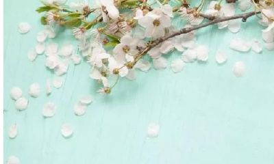 生日时辰看你是什么命