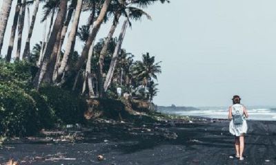 83年属猪女人感情归处是啥