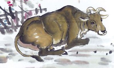 生肖牛的真面目