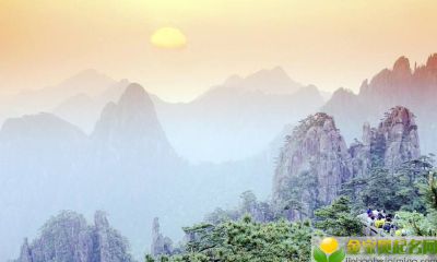 2019年4月16号早上出生的女宝宝取名有哪些宜用字，禁用字