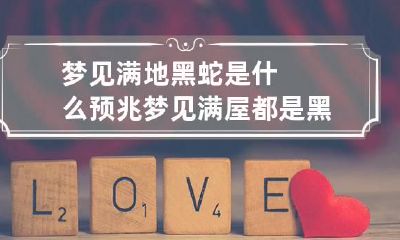 梦见满地黑蛇是什么预兆 梦见满屋都是黑蛇是什么预兆
