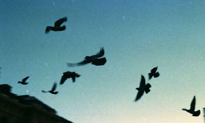 姓左丘女孩有寓意的名字大全