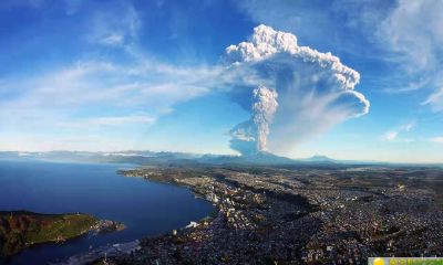 2019年4月24号下午出生的男宝宝怎么样起名字，起什么名字好听