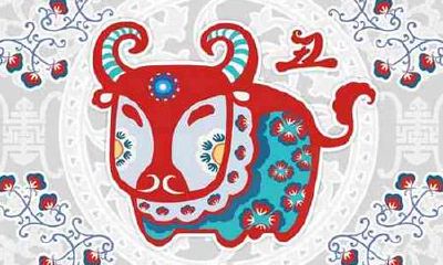 生肖牛不为人知的坏习惯