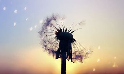 姓墨女孩有寓意的名字大全